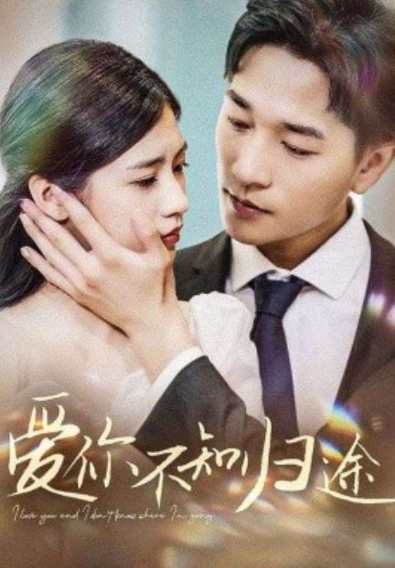 短剧《爱你不知归途（爱你漫漫长路）42集全》免费观看-第1张图片-力界网