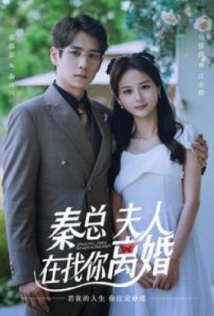 短剧《秦总夫人在找你离婚（79集全）》免费观看-第1张图片-力界网