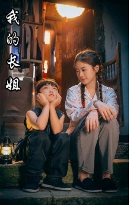 短剧《我的长姐（何以为家）67集全》免费观看-第1张图片-力界网