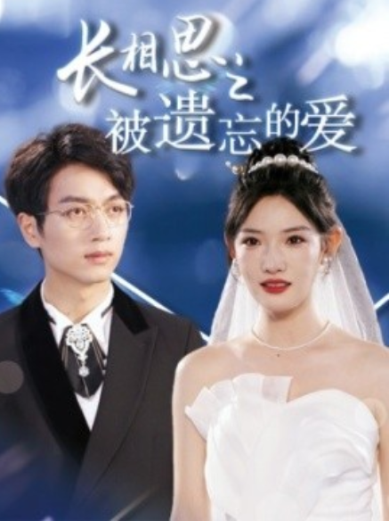 短剧《长相思之被遗忘的爱（70集全）》免费观看-第1张图片-力界网