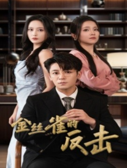 短剧《金丝雀的反击（33集全）》免费观看-第1张图片-力界网