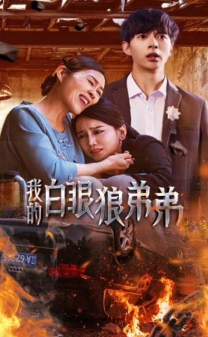 短剧《我的白眼狼弟弟（69集全）》免费观看-第1张图片-力界网