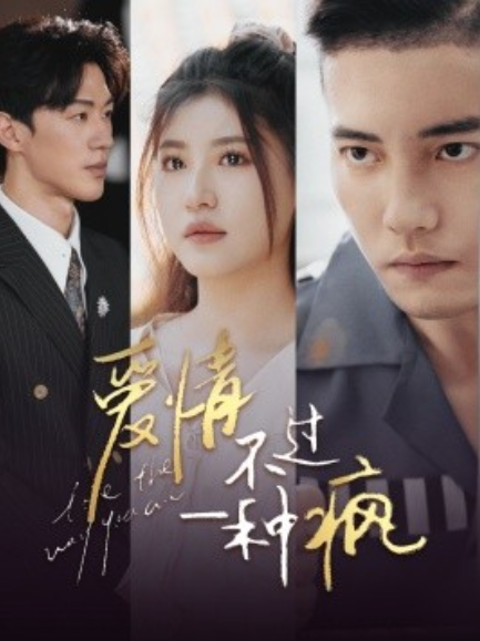 短剧《爱情不过一种疯（96集全）》免费观看-第1张图片-力界网
