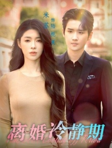 短剧《离婚冷静期（29集全）》免费观看-第1张图片-力界网