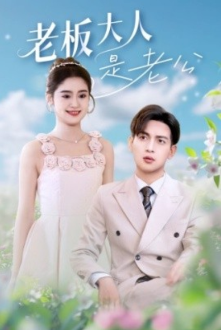 短剧《老板大人是老公（45集全）》免费观看-第1张图片-力界网