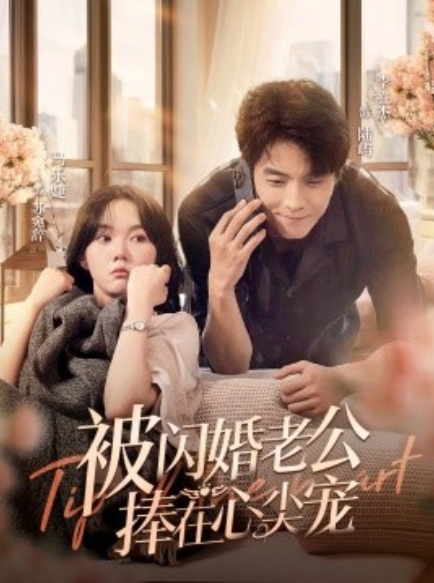 短剧《被闪婚老公捧在心尖宠（100集全）》免费观看-第1张图片-力界网