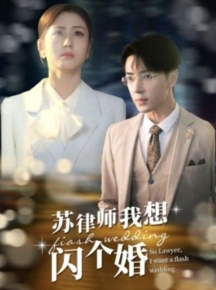 短剧《苏律师我想闪个婚（95集全）》免费观看-第1张图片-力界网