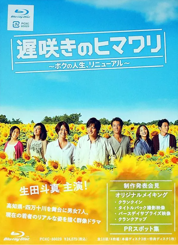 日剧《迟开的向日葵(10集全)》高清HD1080p完整版在线免费观看-第1张图片-力界网 日剧《迟开的向日葵(10集全)》高清HD1080p完整版在线免费观看-第1张图片-力界网