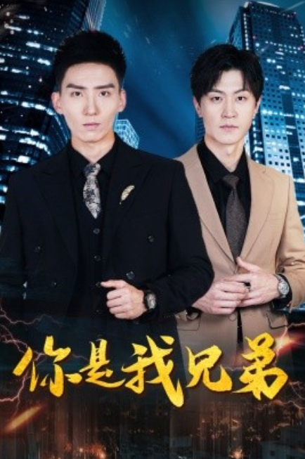 短剧《你是我兄弟（69集全）》免费观看-第1张图片-力界网