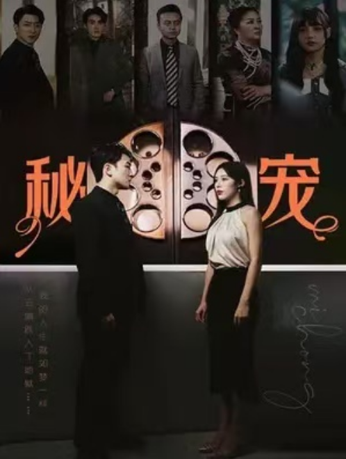 短剧《秘宠（100集全）》免费观看-第1张图片-力界网
