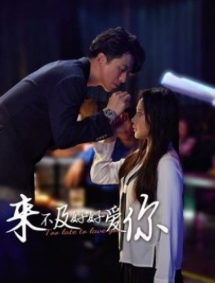 短剧《来不及好好爱你（60集全）》免费观看-第1张图片-力界网