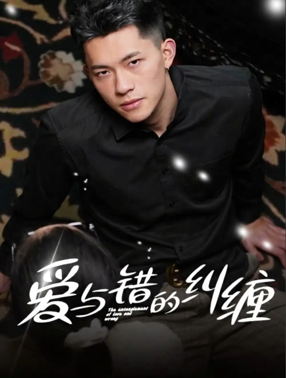 短剧《爱与错的纠缠（100集全）》免费观看-第1张图片-力界网