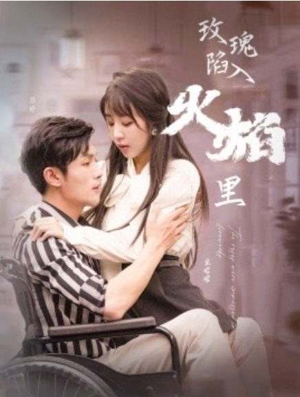 短剧《玫瑰陷入火焰里（100集全）彭丹丹》免费观看-第1张图片-力界网