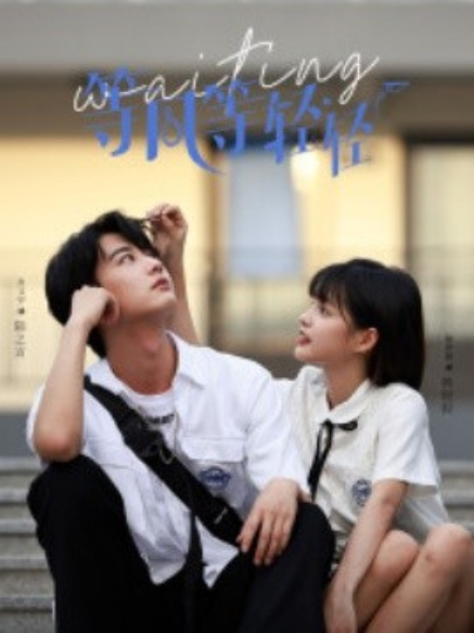 短剧《等风等轻轻（24集全）》免费观看-第1张图片-力界网