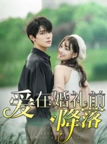 短剧《爱在婚礼前降落（50集全）》免费观看-第1张图片-力界网