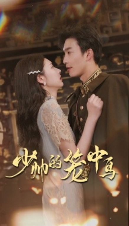 短剧《少帅的笼中鸟（70集全）》免费观看-第1张图片-力界网