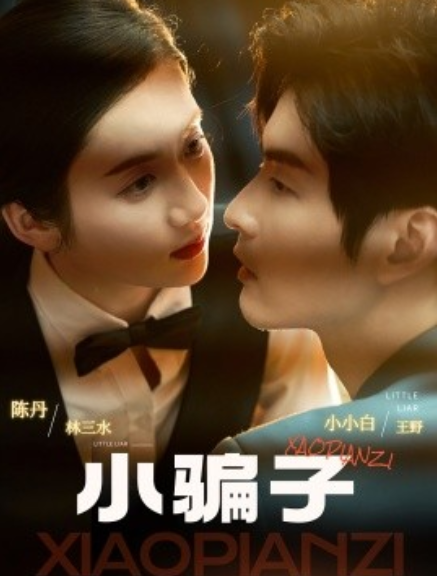 短剧《小骗子（35集全）》免费观看-第1张图片-力界网