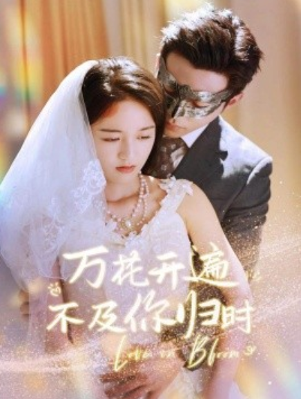 短剧《万花开遍不及你归时（64集全）》免费观看-第1张图片-力界网