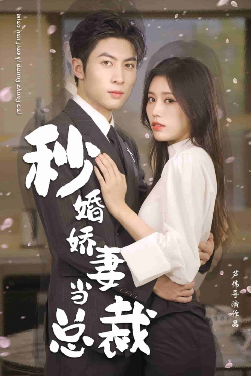 短剧《秒婚娇妻当总裁（80集全）》免费观看-第1张图片-力界网