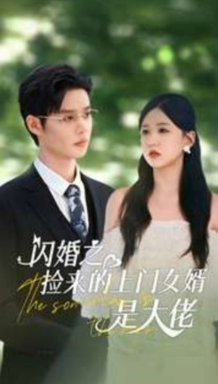 短剧《闪婚之捡来的上门女婿是大佬（79集全）》免费观看-第1张图片-力界网