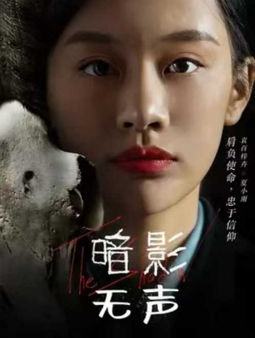 短剧《暗影无声（50集全）》免费观看-第1张图片-力界网