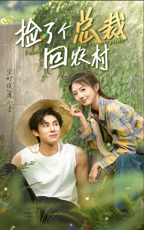 短剧《捡了个总裁回农村（32集全）》免费观看-第1张图片-力界网