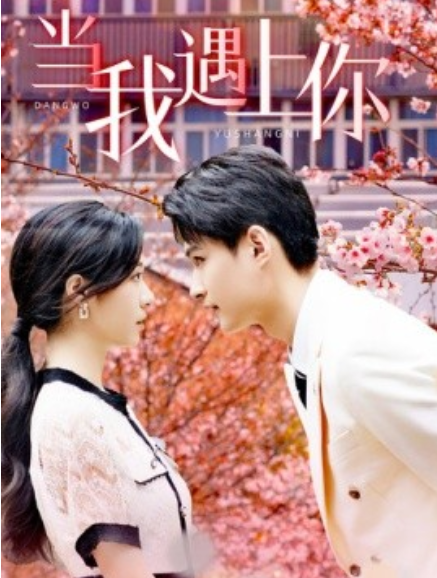 短剧《当我遇上你（100集全）》免费观看-第1张图片-力界网