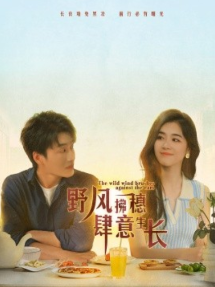 短剧《野风拂穗肆意生长（48集全）》免费观看-第1张图片-力界网