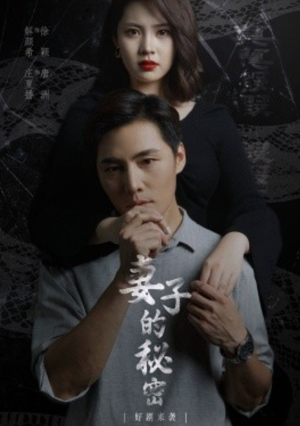 短剧《妻子不能说的秘密（妻子的秘密）30集全》免费观看-第1张图片-力界网