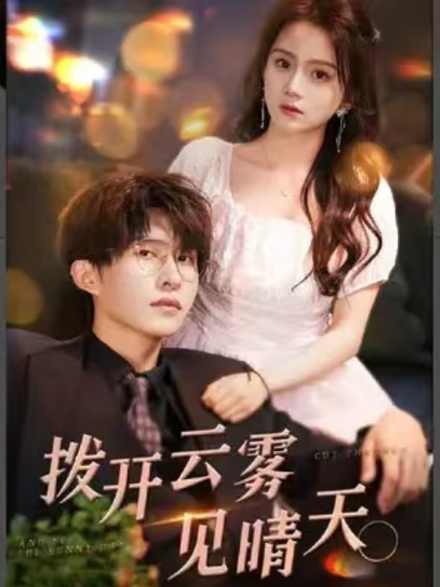 短剧《拨开云雾见晴天（95集全）》免费观看-第1张图片-力界网