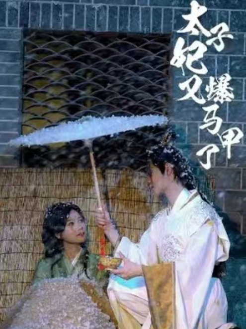 短剧《太子妃马甲又爆了（42集全）》免费观看-第1张图片-力界网
