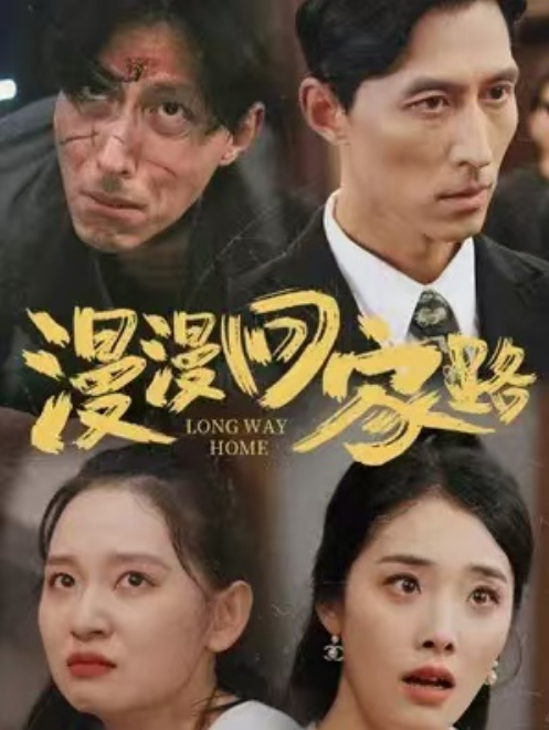 短剧《漫漫回家路（傻爹）41集全》免费观看-第1张图片-力界网