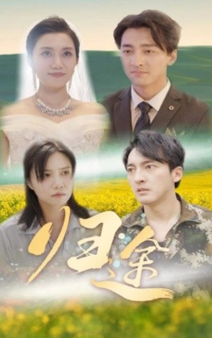 短剧《归途（52集全）》免费观看-第1张图片-力界网