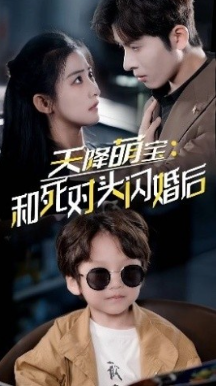 短剧《天降萌宝：和死对头闪婚后（50集全）》免费观看-第1张图片-力界网