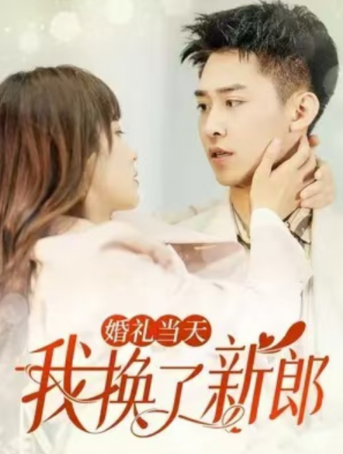 短剧《婚礼当天我换了新郎（73集全）》免费观看-第1张图片-力界网