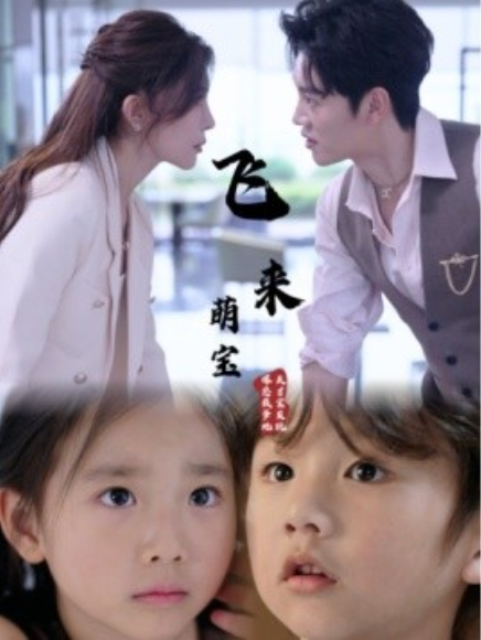 短剧《飞来萌宝（81集全）》免费观看-第1张图片-力界网