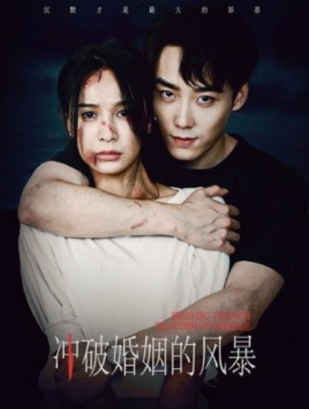 短剧《冲破婚姻的风暴（29集全）》免费观看-第1张图片-力界网