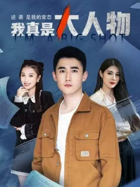 短剧《我真是大人物（80集全）》免费观看-第1张图片-力界网