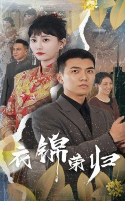 短剧《衣锦荣归（81集全）》免费观看-第1张图片-力界网