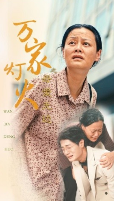 短剧《万家灯火之母爱无边（40集全）》免费观看-第1张图片-力界网