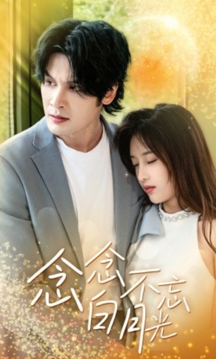 短剧《念念不忘白月光（80集全）》免费观看-第1张图片-力界网