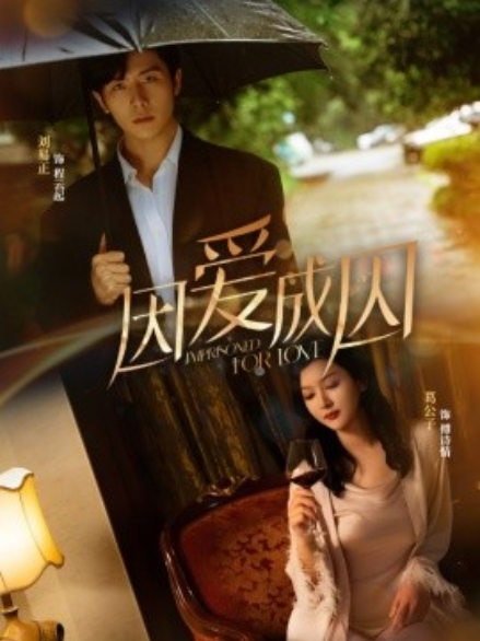 短剧《因爱成囚（30集全）》免费观看-第1张图片-力界网