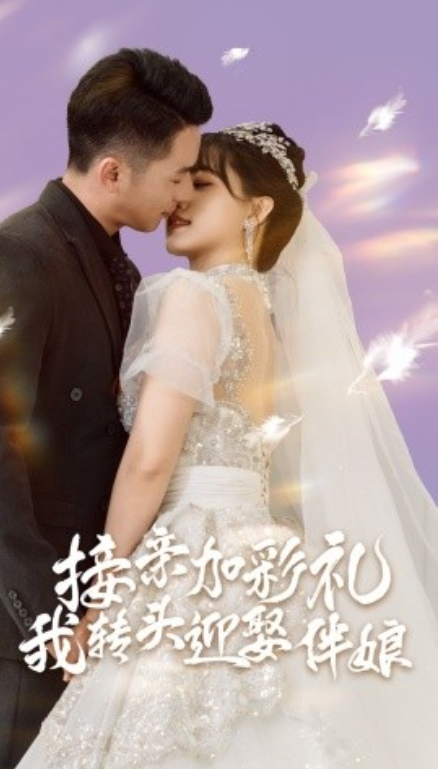 短剧《接亲加彩礼，我转头迎娶伴娘（41集全）》免费观看-第1张图片-力界网