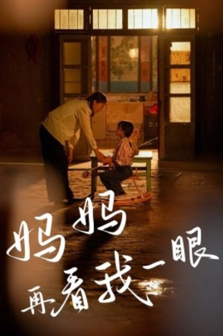 短剧《妈妈再看我一眼（32集全）》免费观看-第1张图片-力界网