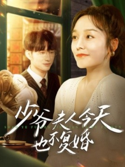 短剧《少爷夫人今天也不复婚（100集全）李胜楠》免费观看-第1张图片-力界网