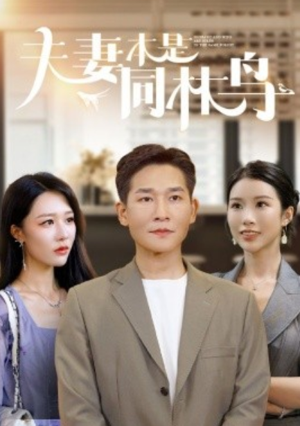 短剧《夫妻本是同林鸟（76集全）》-第1张图片-力界网
