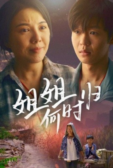 短剧《姐姐何时归（60集全）》免费观看-第1张图片-力界网