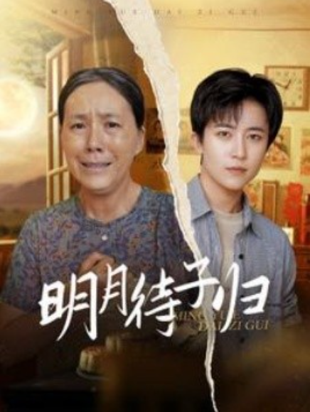 短剧《明月待子归（80集全）》免费观看-第1张图片-力界网