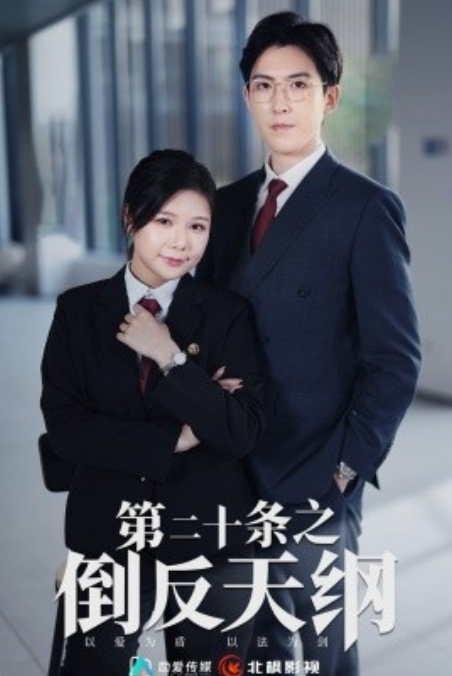短剧《第二十条之倒反天纲（60集全）》免费观看-第1张图片-力界网