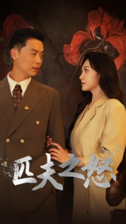 短剧《匹夫之怒（48集全）》免费观看-第1张图片-力界网